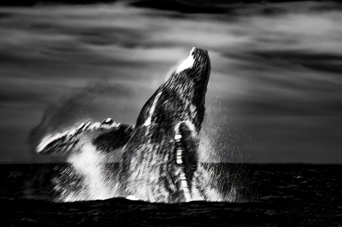 L'Apparizione